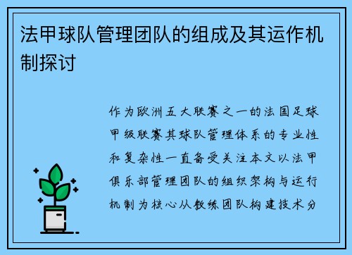 法甲球队管理团队的组成及其运作机制探讨